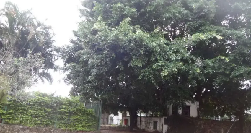 Terreno comercial à venda na Vila Rosa, Novo Hamburgo 