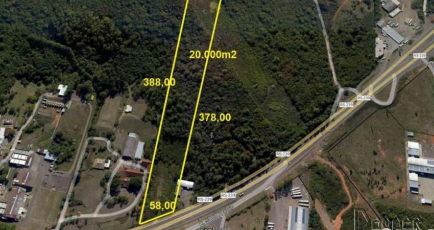 Terreno comercial à venda na Zona Industrial Norte, Campo Bom 