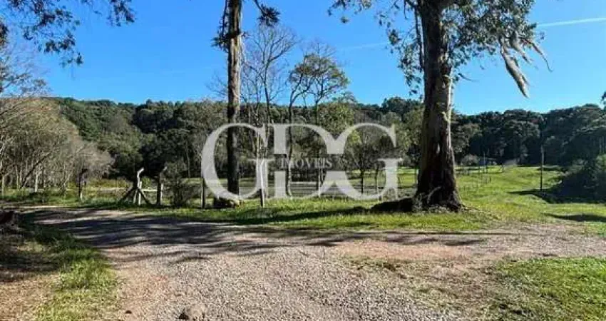 Chácara / sítio à venda na Fazenda Souza, Caxias do Sul 