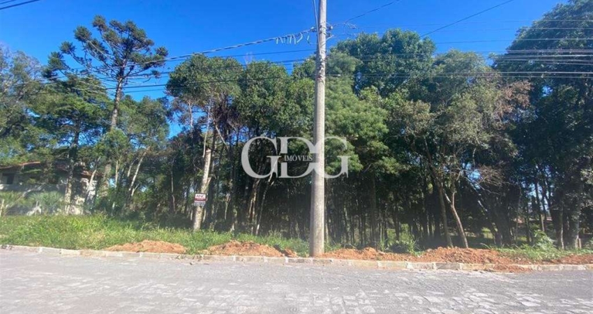Terreno à venda na Nossa Senhora do Rosário, Caxias do Sul 