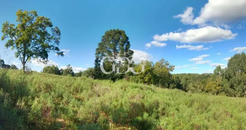 Terreno à venda no São Cristóvão (Distrito), Flores da Cunha 