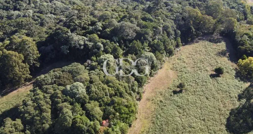 Terreno à venda no São Cristóvão (Distrito), Flores da Cunha 