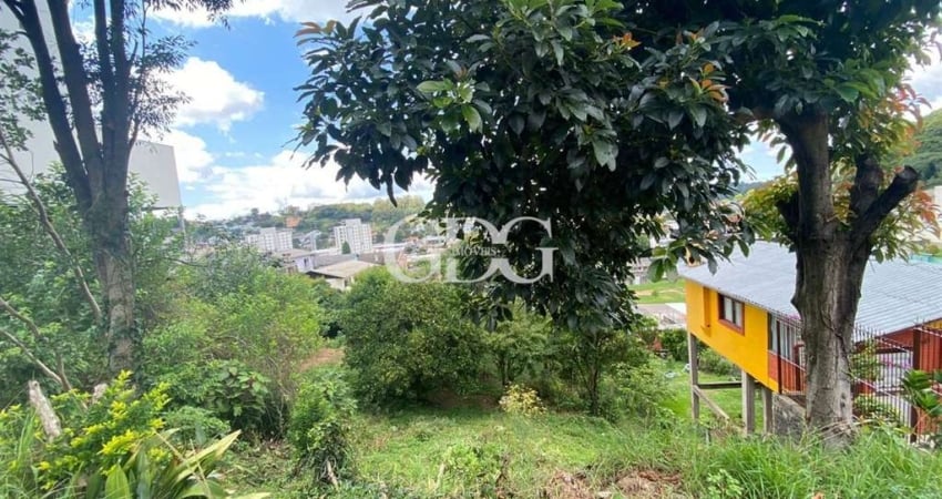Terreno à venda no Panazzolo, Caxias do Sul 