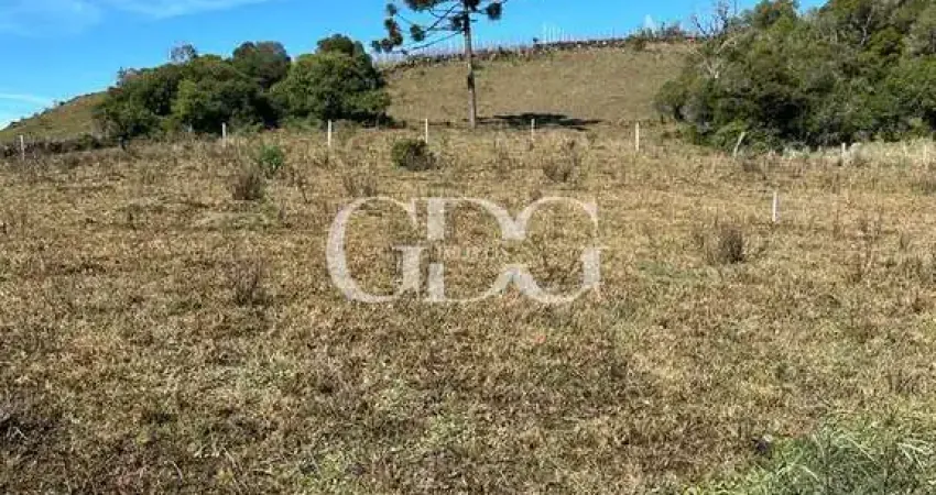 Chácara / sítio à venda em Criúva, Caxias do Sul