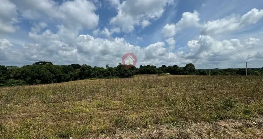 Chácara para Venda em Araucária, Lagoa Suja