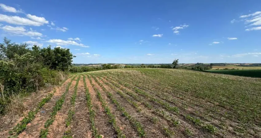 Fazenda à venda no Centro, Contenda