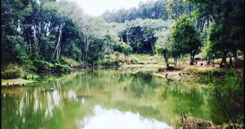 Chácara / sítio com 2 quartos à venda no Centro, Rio Negro 