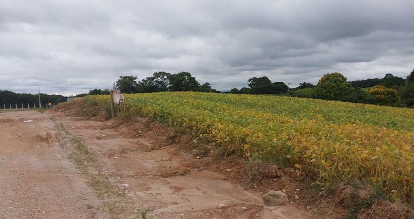 AREA  50 MTS PR 423/ 24.000 M2/  OTIMA LOCALIZAÇÃO