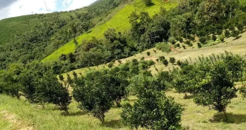 Chácara / sítio com 2 quartos à venda no Centro, Cerro Azul 