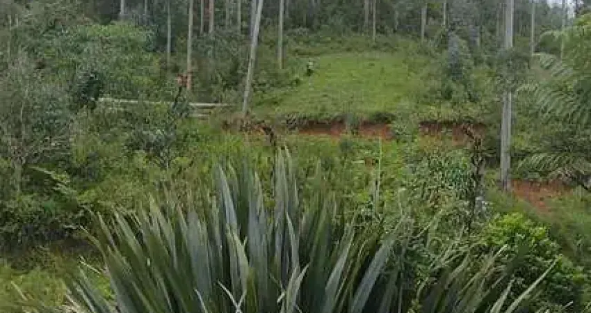 72.600M2 / PLANTAÇÃO EUCALIPTOS / NASCENTE