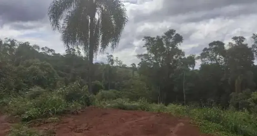 Chácara / sítio à venda em São Silvestre, Campo Largo 