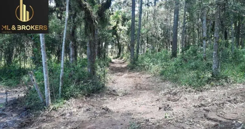 Chácara / sítio à venda na QUITANDINHA - PR, Campina de Quitandinha, Quitandinha