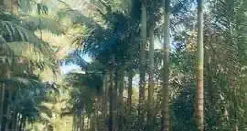 40.000M2 /DECK RIO CACATU/ACESSO MAR/300 METROS FRENTE RIO CACATU