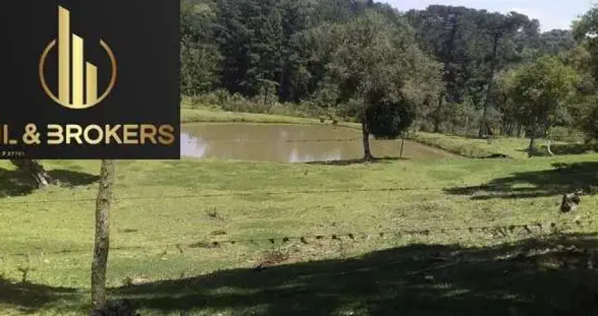 81.000 M2 / CACHOEIRA NO IMOVEL / RIO PASSA IMOVEL  / IDEAL INVESTIDOR