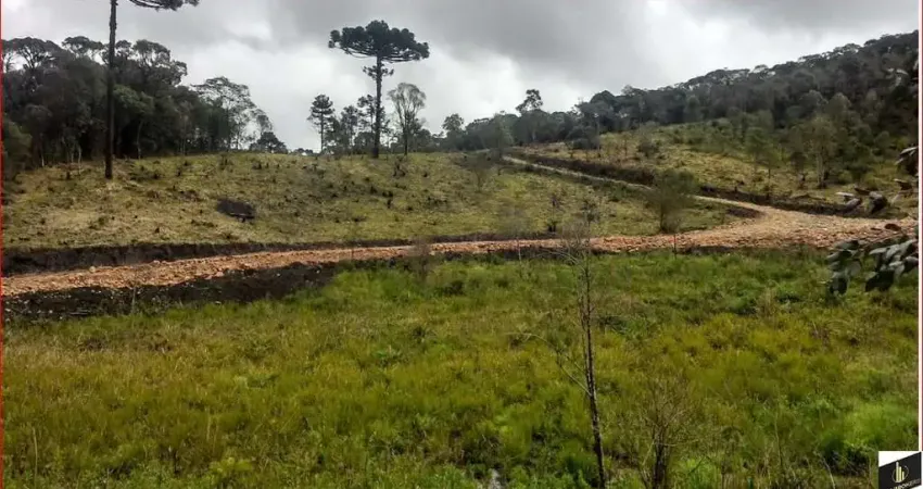 Chácara / sítio à venda em Papanduva da Serra, São José dos Pinhais
