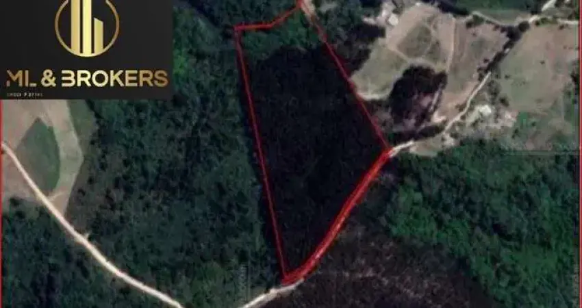 38.000 M2/REBROTA EUCALIPTO LENHA/IDEAL INVESTIDOR