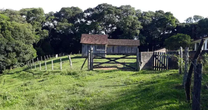Chácara / sítio com 2 quartos à venda na BUGRE  BALSA NOVA  PR, Bugre, Balsa Nova