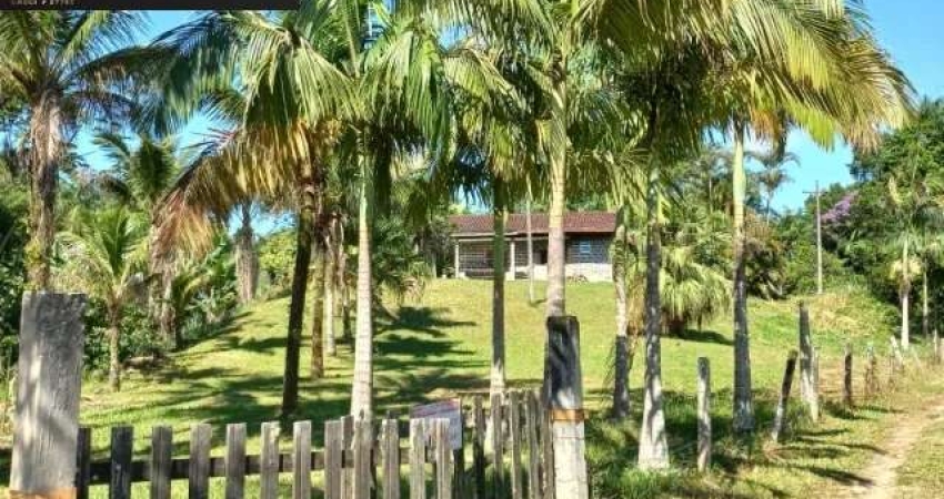 302.500 M2 / 30.000 PÊS PALMITO/MARGEM RIO DO CEDRO/ ACESSO BARCO BAIA GUARATUBA