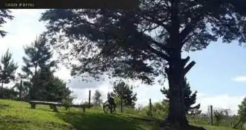 74.000 M2 / RIACHO PASSA PROPRIEDADE /15 KM CONTENDA / IDEAL INVESTIDOR