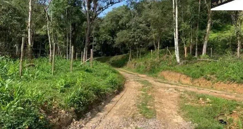 100.000M2/MARGENS PR410 EST GRACIOSA/PLANTAÇÃO PUPUNHA PRODUZINDO