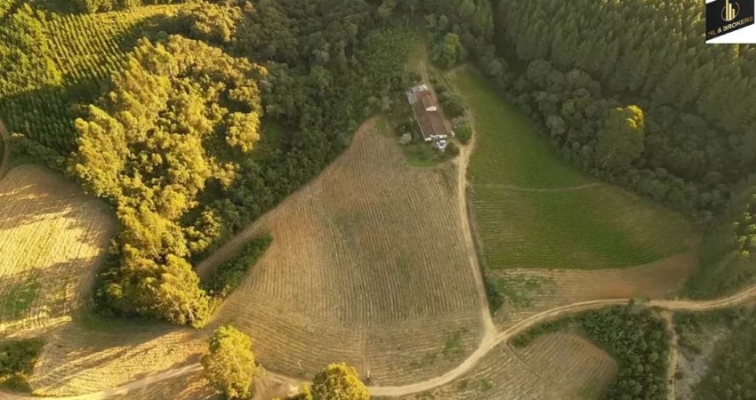 42.350 M2/ÁREA PLANTIO / MINA ÁGUA /IDEAL INVESTIDORES