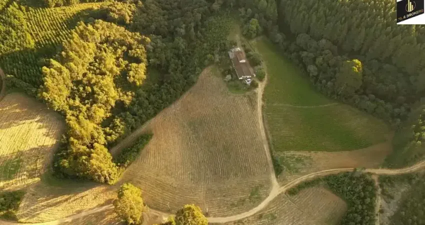 Chácara / sítio com 3 quartos à venda na Área Rural, Zona Rural, Mandirituba