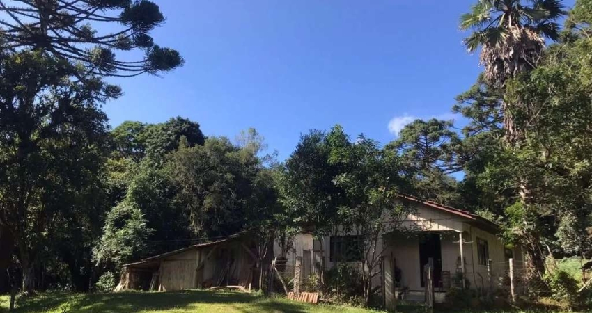 Chácara / sítio com 3 quartos à venda na Zona Rural, Tijucas do Sul 