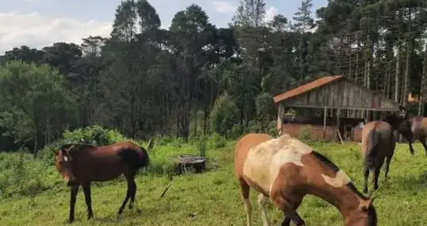 16.200M2/MINI HARAS 8 BAIAS/3 LAGOS/IDEAL INVESTIDOR