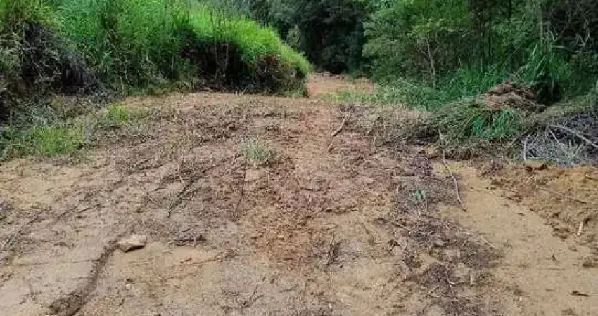 24.000M2/COM PLANTAÇÃO EUCALIPTOS/OTIMA LOCALIZAÇÃO