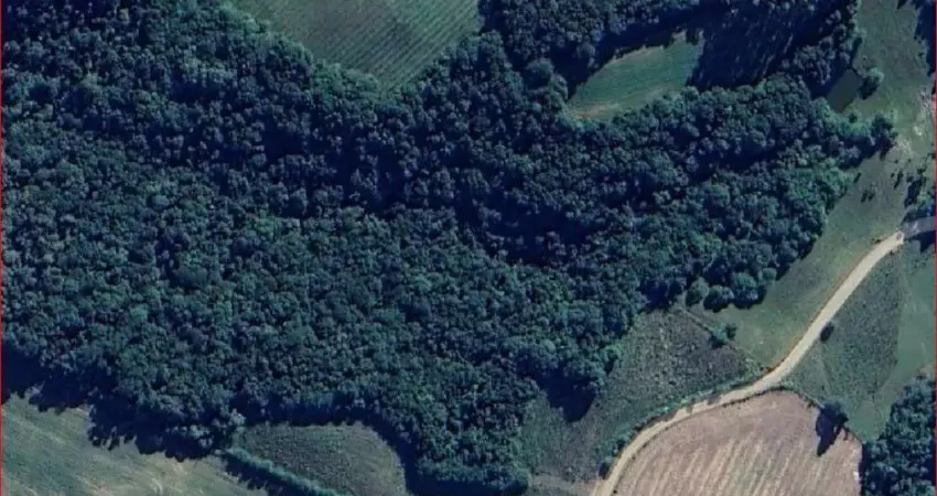 Chácara / sítio à venda na Zona Rural, Balsa Nova 