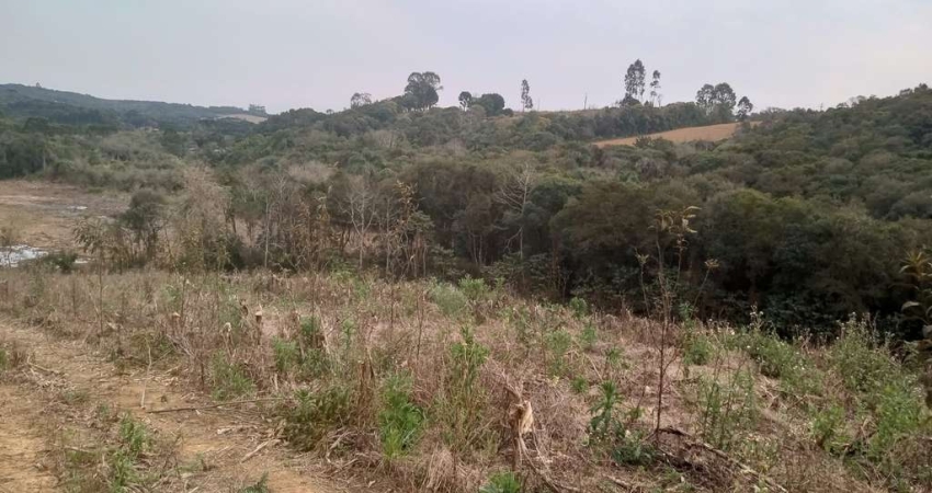 96.800M2/COLONIA MARCELINO/IDEAL INVESTIDORES