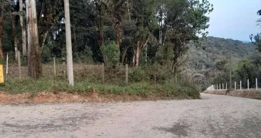 20.000M2/PERTO BR 277/DOCUMENTAÇÃO OK/OTIMA LOCALIZAÇAO