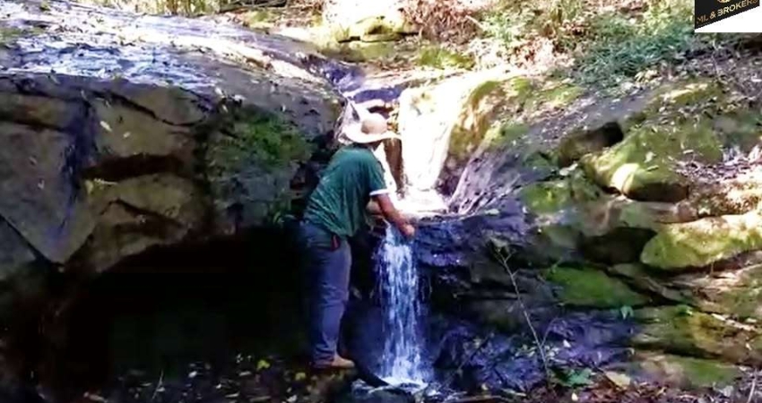 Chácara / sítio com 4 quartos à venda na Lavrinha, Pinhalão 