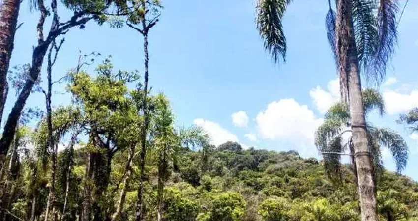 20.000M2/CASA 260M2/ÓTIMA LOCALIZAÇÃO/IDEAL INVESTIDORES
