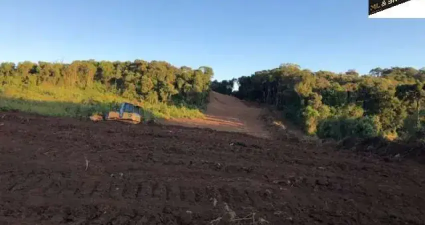 Chácara / sítio à venda na Área Rural, Área Rural de Almirante Tamandaré, Almirante Tamandaré