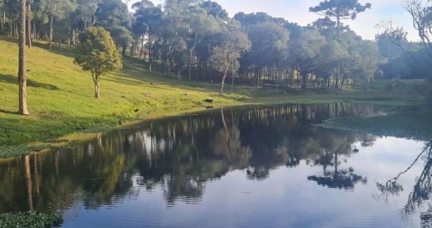 Sítio / Chácara 2 quartos para Venda no bairro Areia Branca dos Assis em Mandirituba