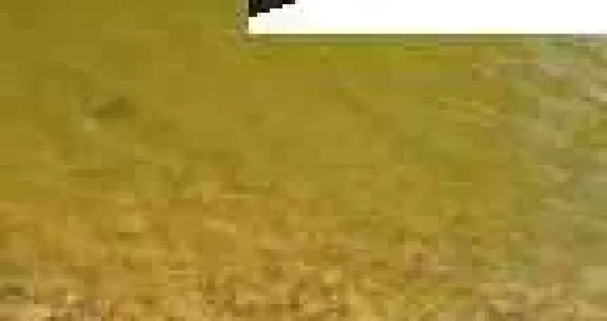 Sítio / Chácara para Venda no bairro Contenda em São José dos Pinhais