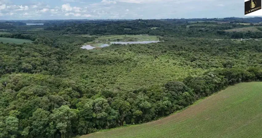 242.000 M2/ 2 KM PR423 / ÓTIMA LOCALIZAÇÃO/IDEAL PARA INVESTIDORES