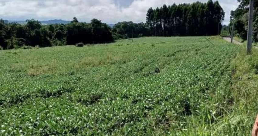 57.000M2/AREA PLANTIO MECANIZADA/OTIMA LOCALIZAÇÃO/IDEAL INVESTIDORES