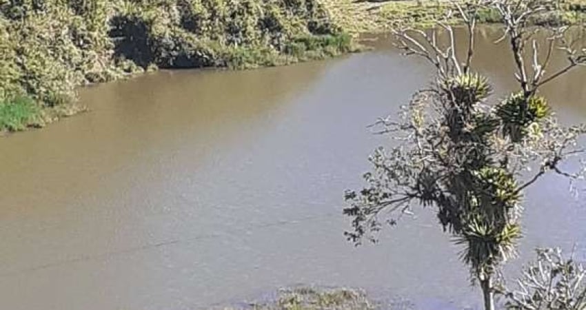 245.000M2/11 TANQUES PEIXE/6 ALQ EUCALIPTO/TODO ASFALTADO