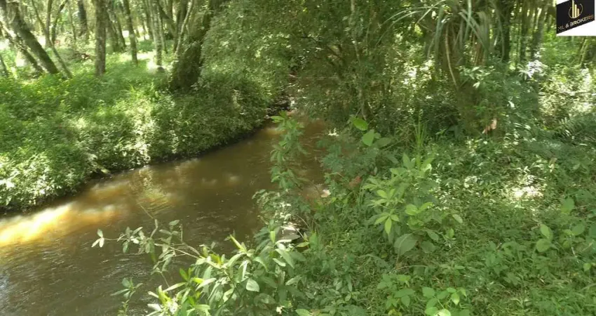 Chácara / sítio à venda na Rodovia BR 116, Colonia Lima, Mandirituba