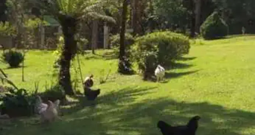 Chácara / sítio com 2 quartos à venda na Zona Rural, Tijucas do Sul 