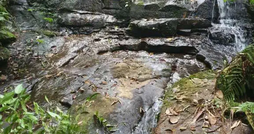 Chácara / sítio com 3 quartos à venda na Zona Rural, Rio do Oeste 