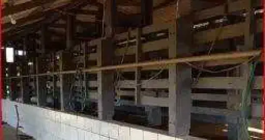 33alqueires/produção 400 l cachaça dia/14 divisão pastagem/estabulo/ideal investidores