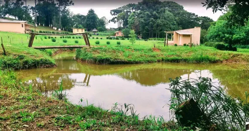 20.000m2/1 km ate asfalto/pronta para seu lazer/ 11 km araucaria/ideal airbnb