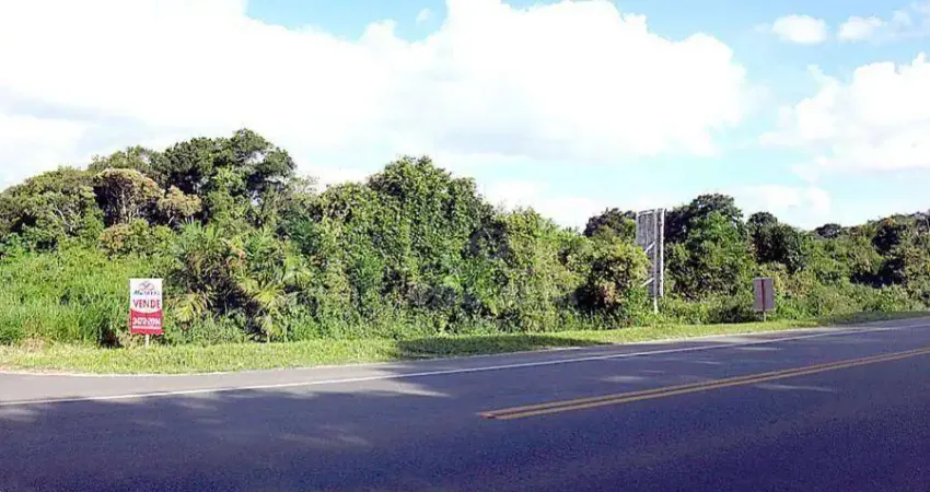 Terreno à venda, 810 m² por R$ 550.000,00 - Eliana - Guaratuba/PR