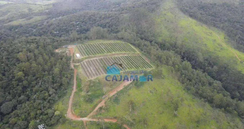 Terreno comercial à venda na Estrada José Francisco de Souza, 1, Ponunduva, Cajamar