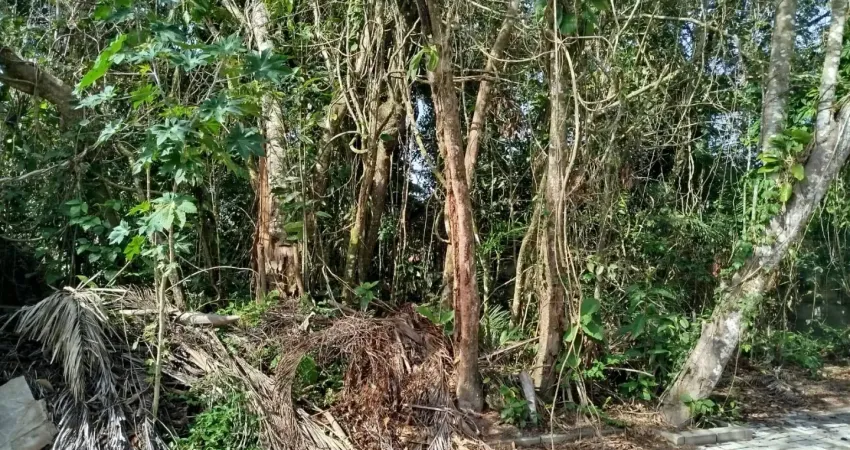 Maravilhosoterreno  na praia de boraceia são sebastião são paulo