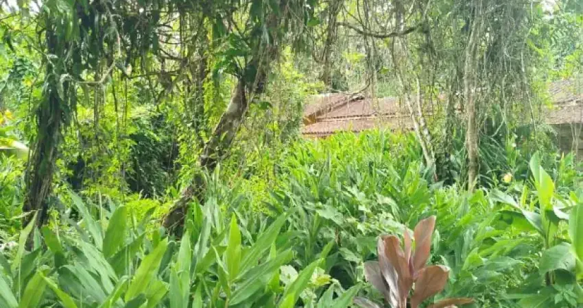 Terreno à venda na Alameda Campo Grande, 00, Boracéia, São Sebastião