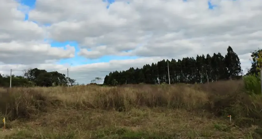 TERRENO PLANO, à venda no Bairro Nossa Sra das Graças